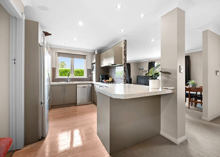  at 10 Darley Street, Maeroa, Hamilton