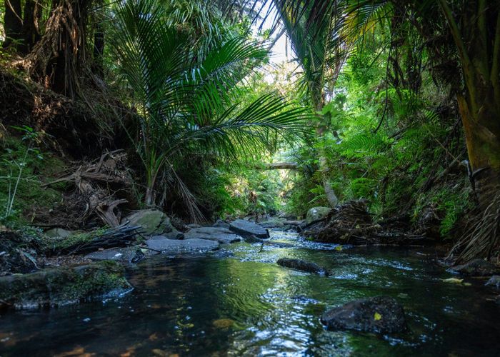  at 104 Taiwawe Lane, Hot Water Beach, Thames-Coromandel, Waikato
