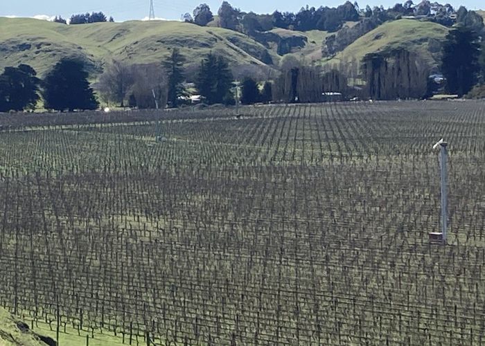  at Ohiti Road, Crownthorpe, Hastings, Hawke's Bay