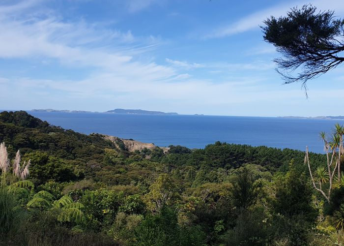  at 492 Tuateawa Road, Coromandel, Thames-Coromandel, Waikato