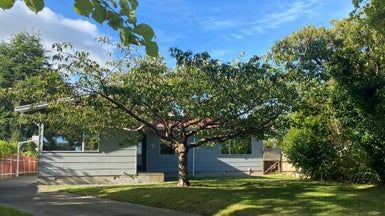  at 7 Wyndham Street, Awapuni, Palmerston North