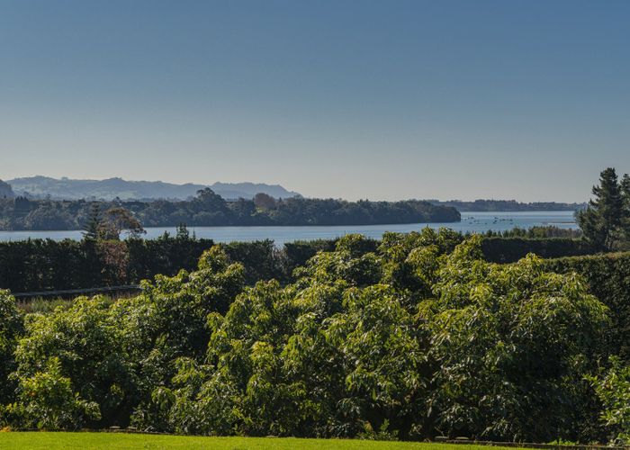  at 210 Tuapiro Road, Tahawai