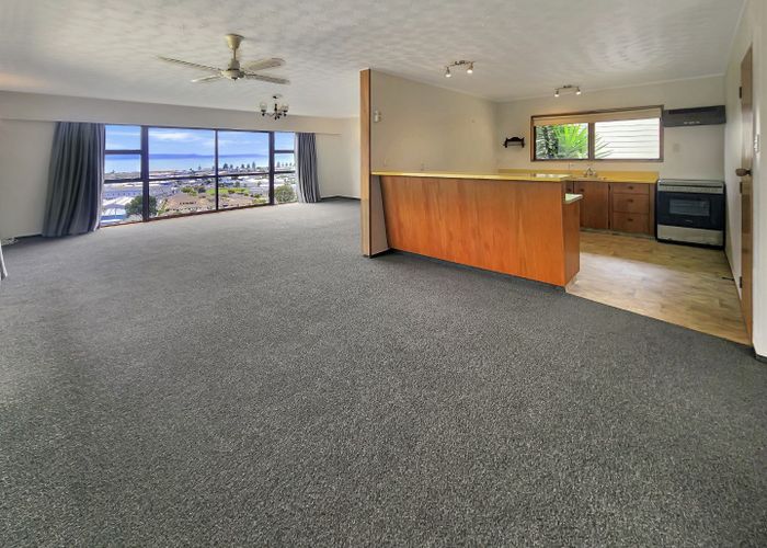  at 28 Hospital Terrace, Hospital Hill, Napier, Hawke's Bay