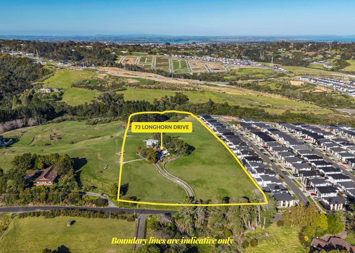  at 73 Longhorn Drive, Flat Bush, Manukau City, Auckland