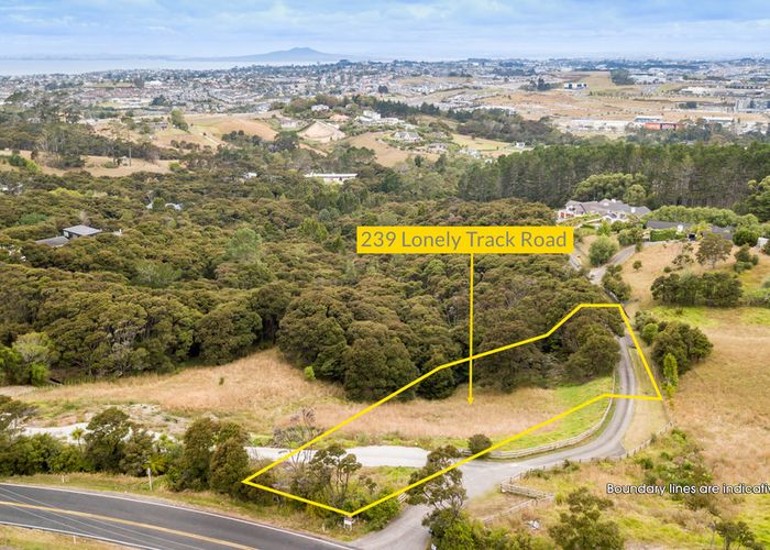  at 239 Lonely Track Road, Albany Heights, Auckland