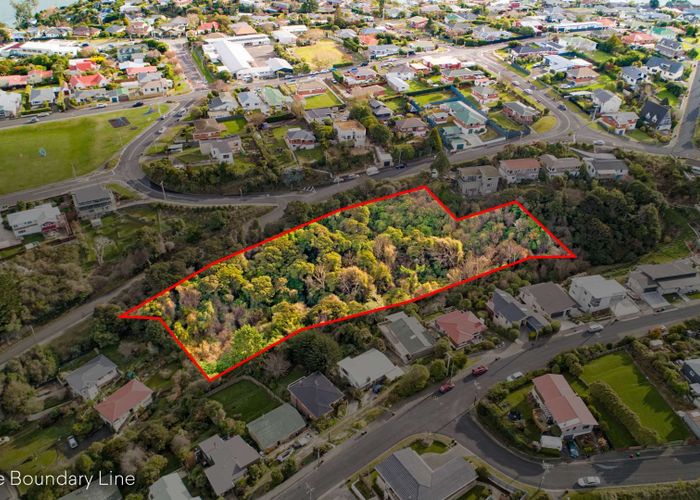  at 115 Dunrobin Street, Waverley, Dunedin, Otago