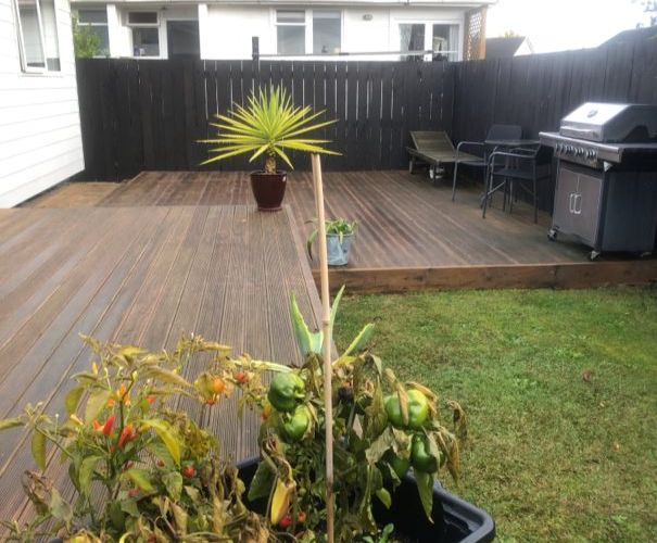  at 4 Kotuku Street, Frankton, Hamilton