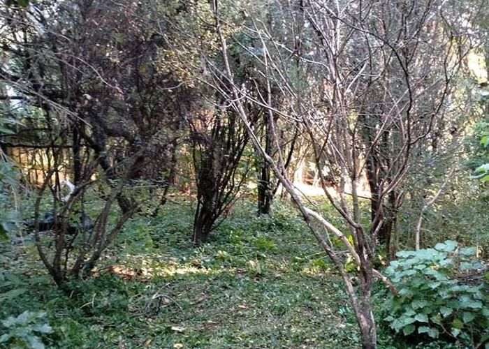  at 49 Handyside Street, Tawa, Wellington