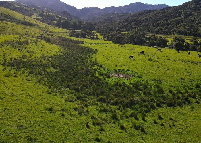  at 593 Port Charles Road, Port Charles, Thames-Coromandel, Waikato