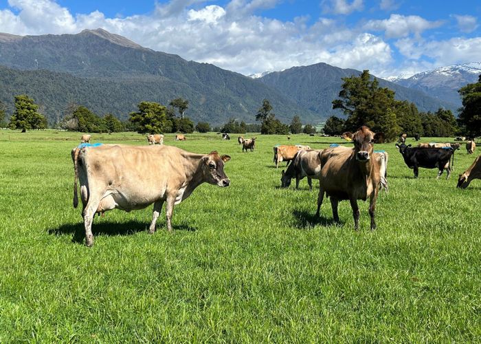  at 694-778 Waitaha Road, Ross, Westland, West Coast