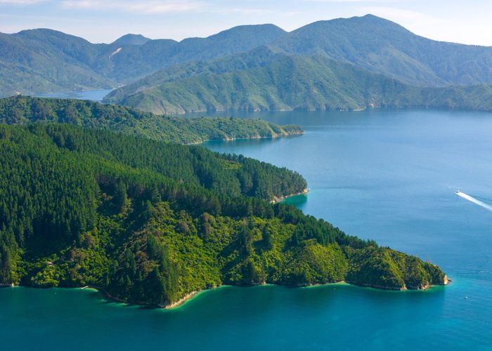  at Snake Point, Queen Charlotte Sounds, Marlborough, Marlborough