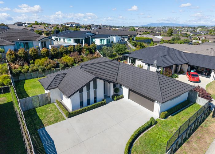  at 81 Cumberland Drive, Flagstaff, Hamilton