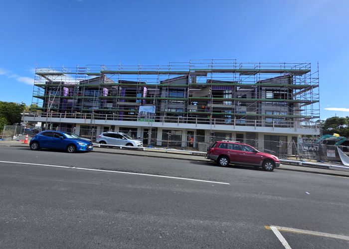  at 203 Newlands Road (COMMERCIAL/RESIDENTIAL), Newlands, Wellington, Wellington