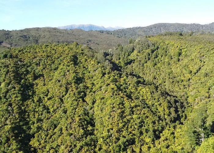  at 844 Nikau Road, State Highway 67, Mokihinui, Buller, West Coast