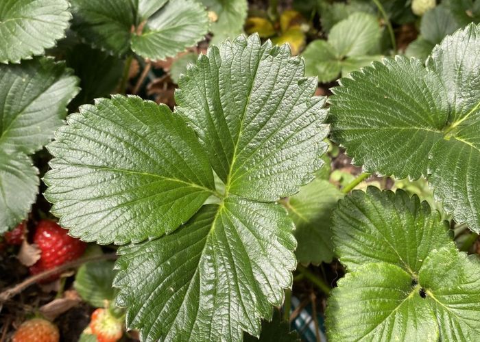  at 35 Sydney Street, Windsor, Invercargill, Southland