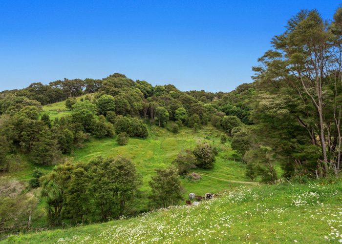  at 132 Foster Road, Taneatua, Whakatane, Bay Of Plenty