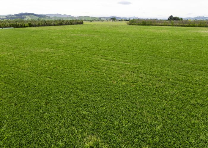  at 861 Matawai Road, Ormond, Gisborne, Gisborne