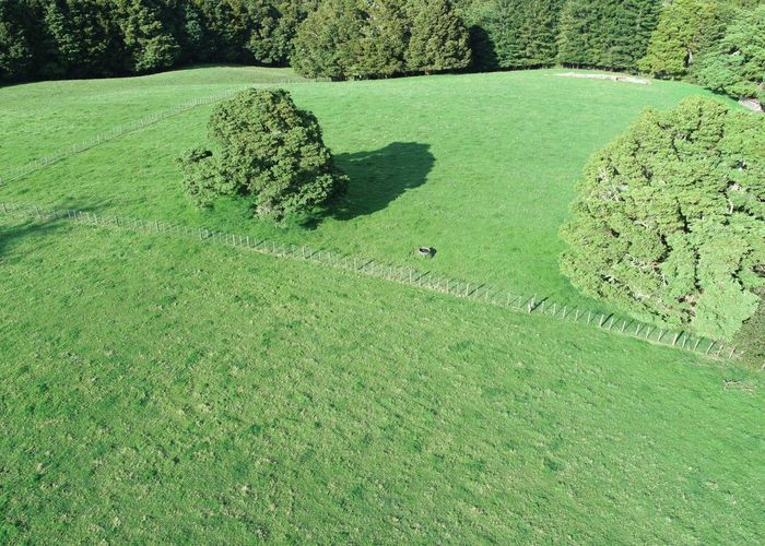  at 41 Pinehill Road, Pakaraka, Far North, Northland