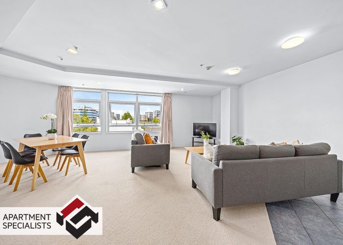  at 205 Hobson Street, City Centre, Auckland City, Auckland