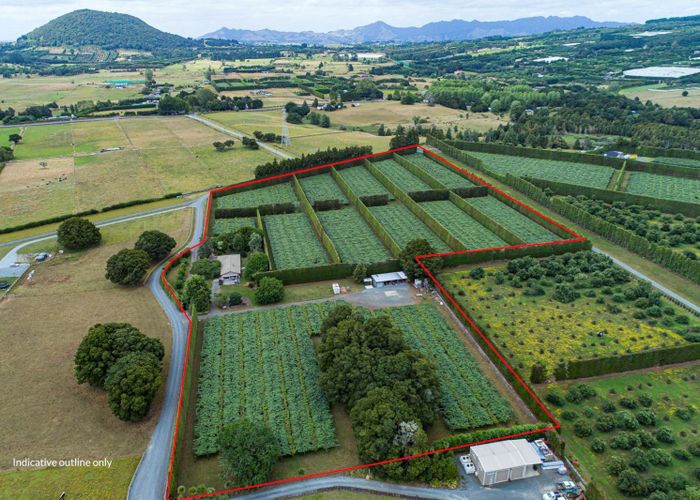  at 38 Mannington Road, Maungatapere, Whangarei, Northland