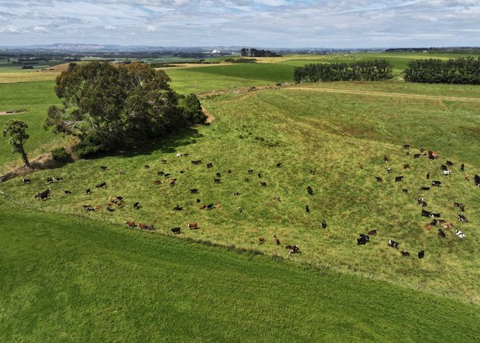  at 986 Downs Road South, Edendale, Southland, Southland