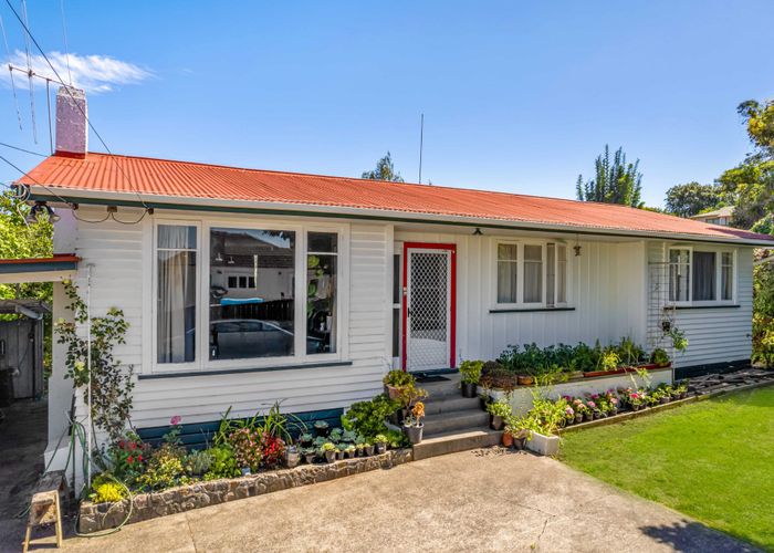  at 21 Carey Street, Maeroa, Hamilton, Waikato