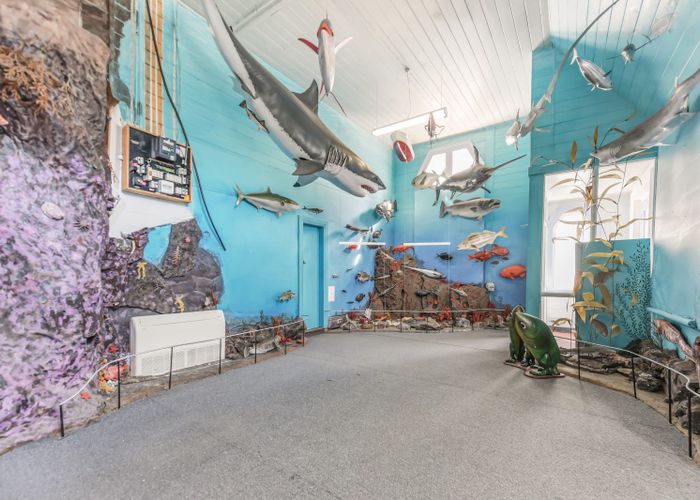 at 61 Main Road, Havelock, Marlborough, Marlborough