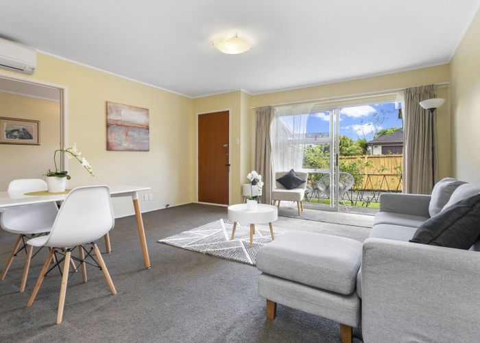  at 3/20 Turama Road, Royal Oak, Auckland