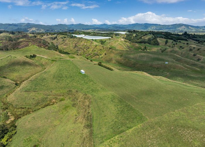  at 276 Tirohanga Road, Tirohanga, Opotiki, Bay Of Plenty
