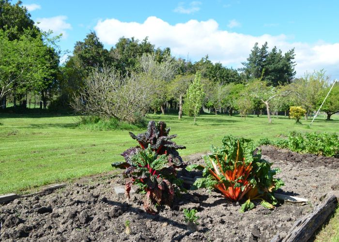  at 83 Boundary Road, Masterton, Masterton, Wellington