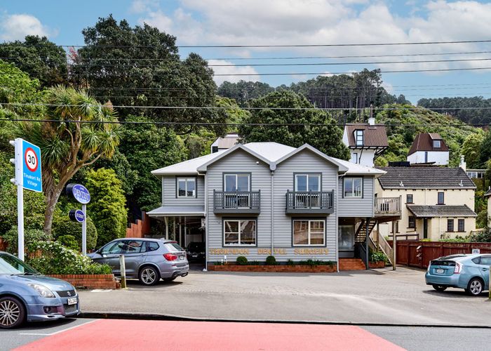  at 246 Tinakori Road, Thorndon, Wellington, Wellington