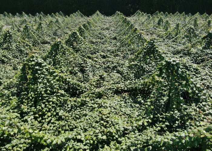  at Lot 2, 2374 State Highway 10, Kerikeri, Far North, Northland