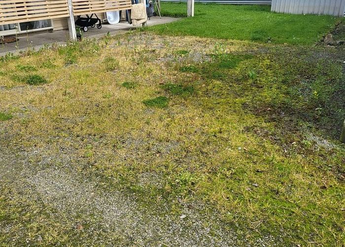  at 207D Bowmont Street, Georgetown, Invercargill, Southland