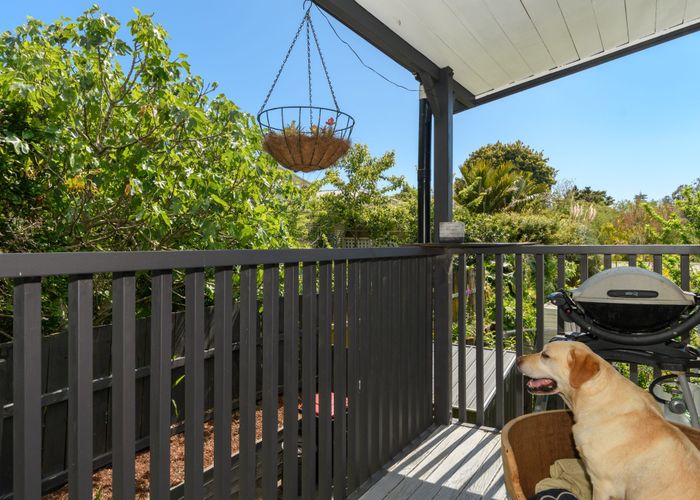  at 13 Waimapu Street, Greerton, Tauranga