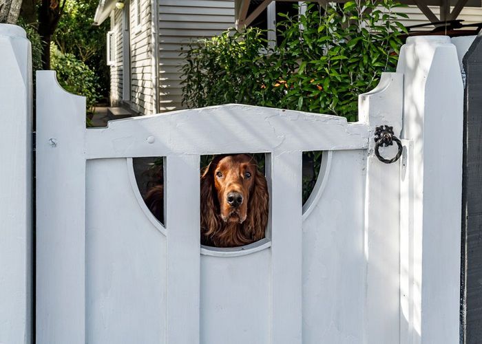  at 47 Wallace Place, Westown, New Plymouth, Taranaki