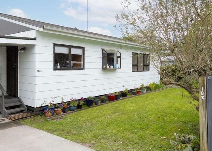  at 187A Ormond Road, Mangapapa, Gisborne