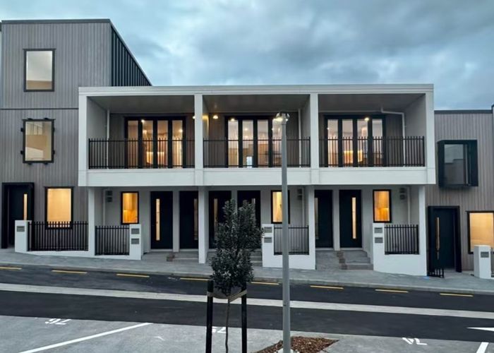  at 115 Hadlow Terrace, Grey Lynn, Auckland City, Auckland