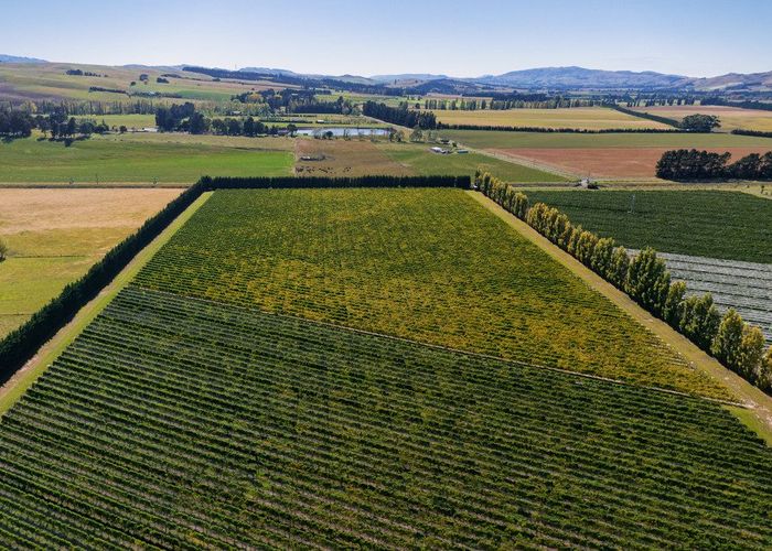  at 253 Mackenzies Road, Waipara, Hurunui, Canterbury