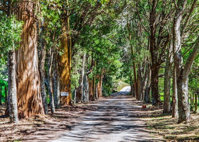  at 273 Mapara Road, Acacia Bay, Taupo, Waikato