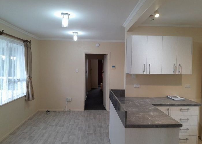  at 45 Middlepark Road, Sockburn, Christchurch City, Canterbury