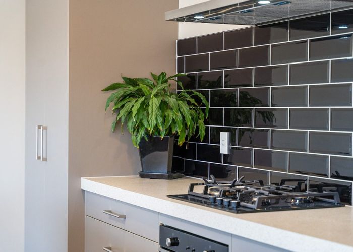  at 64C Campbell Street, Frankton, Hamilton