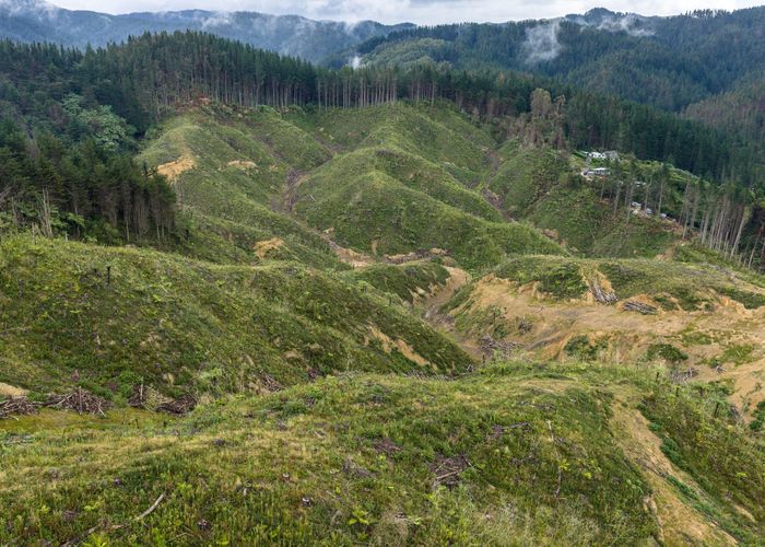  at Lot 17/355 Pretoria Road, Shannon, Horowhenua, Manawatu / Whanganui