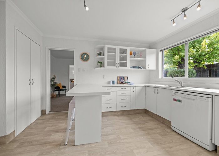  at 17 Caulfield Place, Awapuni, Palmerston North, Manawatu / Whanganui