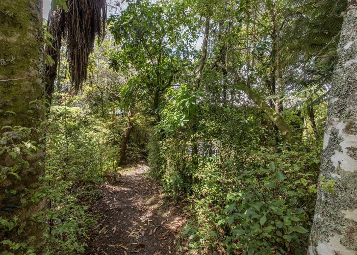  at 33 Hauraki Terrace, Pukawa Bay, Tūrangi