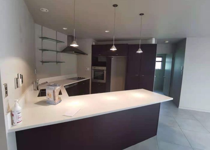  at 19 Ruze Vida Drive, Massey, Waitakere City, Auckland