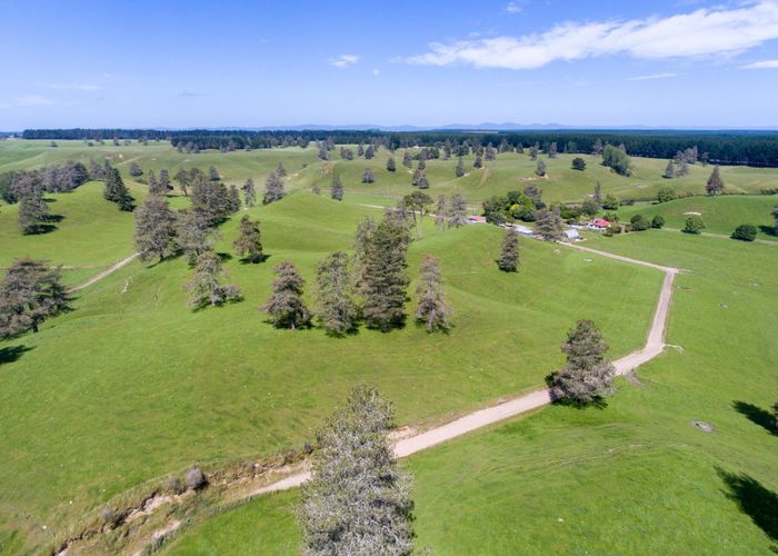  at 366 Yankee Road, Rerewhakaaitu, Rotorua, Bay Of Plenty