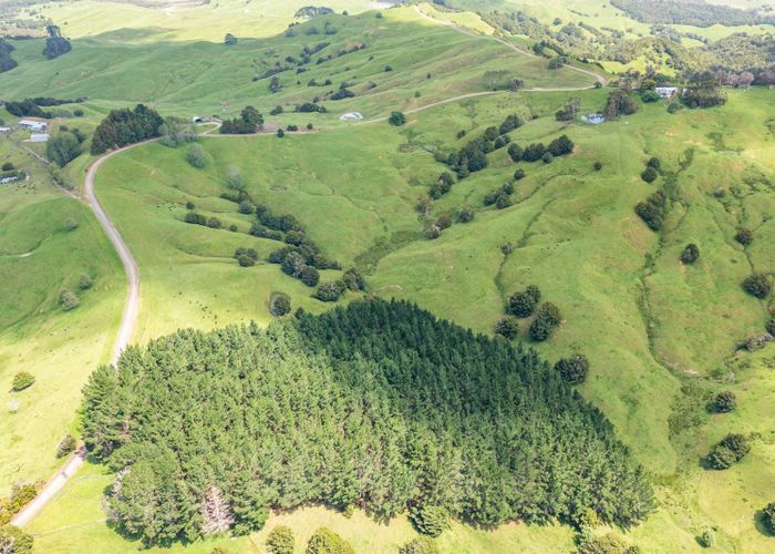  at Mangarata Block Road (19.41 ha), Tangiteroria, Kaipara, Northland