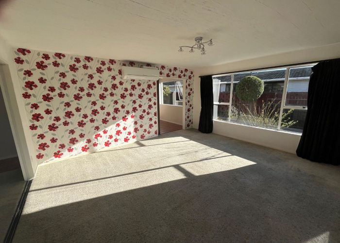  at 37 Vanguard Drive, Broomfield, Christchurch City, Canterbury