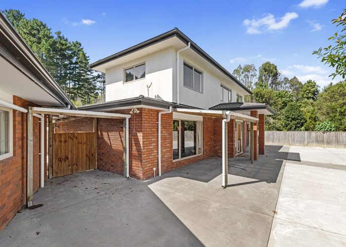  at 732 Tahuroa Road, Morrinsville, Morrinsville