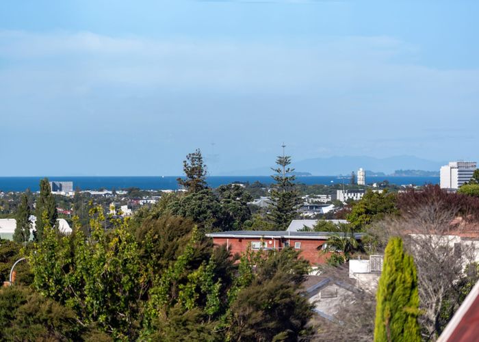  at 14 McFetridge Place, Hillcrest, North Shore City, Auckland